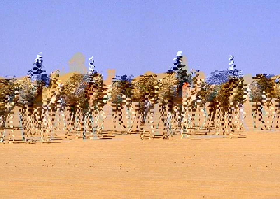 Economy & Infrastructure