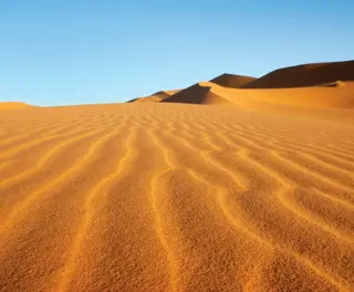 The Sahara Desert